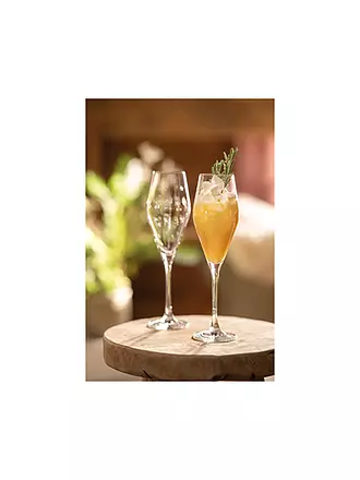 VILLEROY & BOCH | Toy's Delight Sektkelch Set 2tlg. 252mm | 